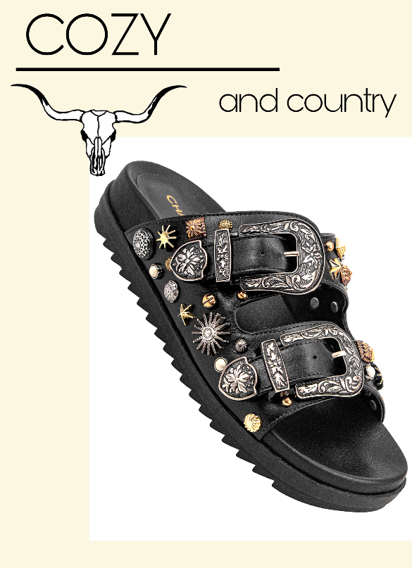 Birken 